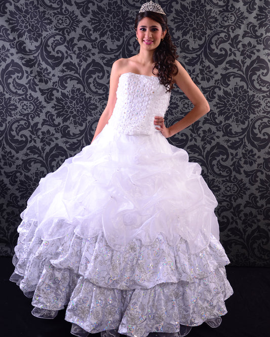 Quinceanera/Wedding Gown