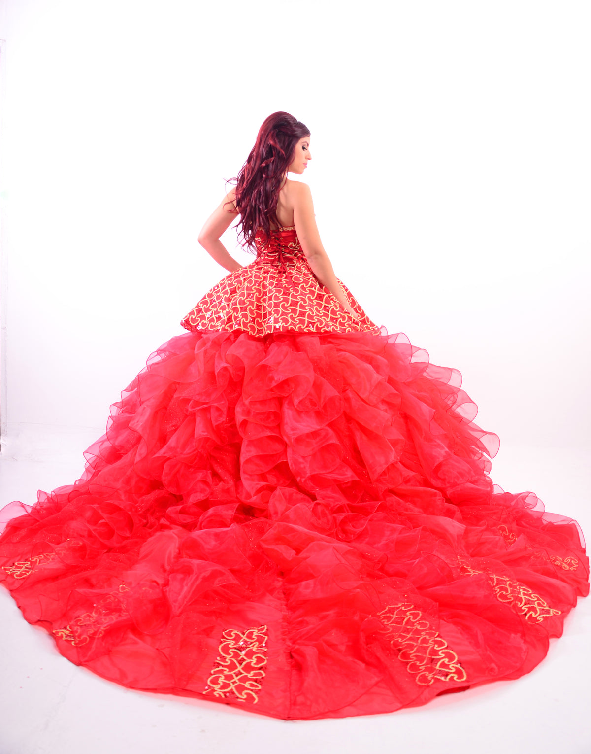 Quinceañera/Wedding Gown