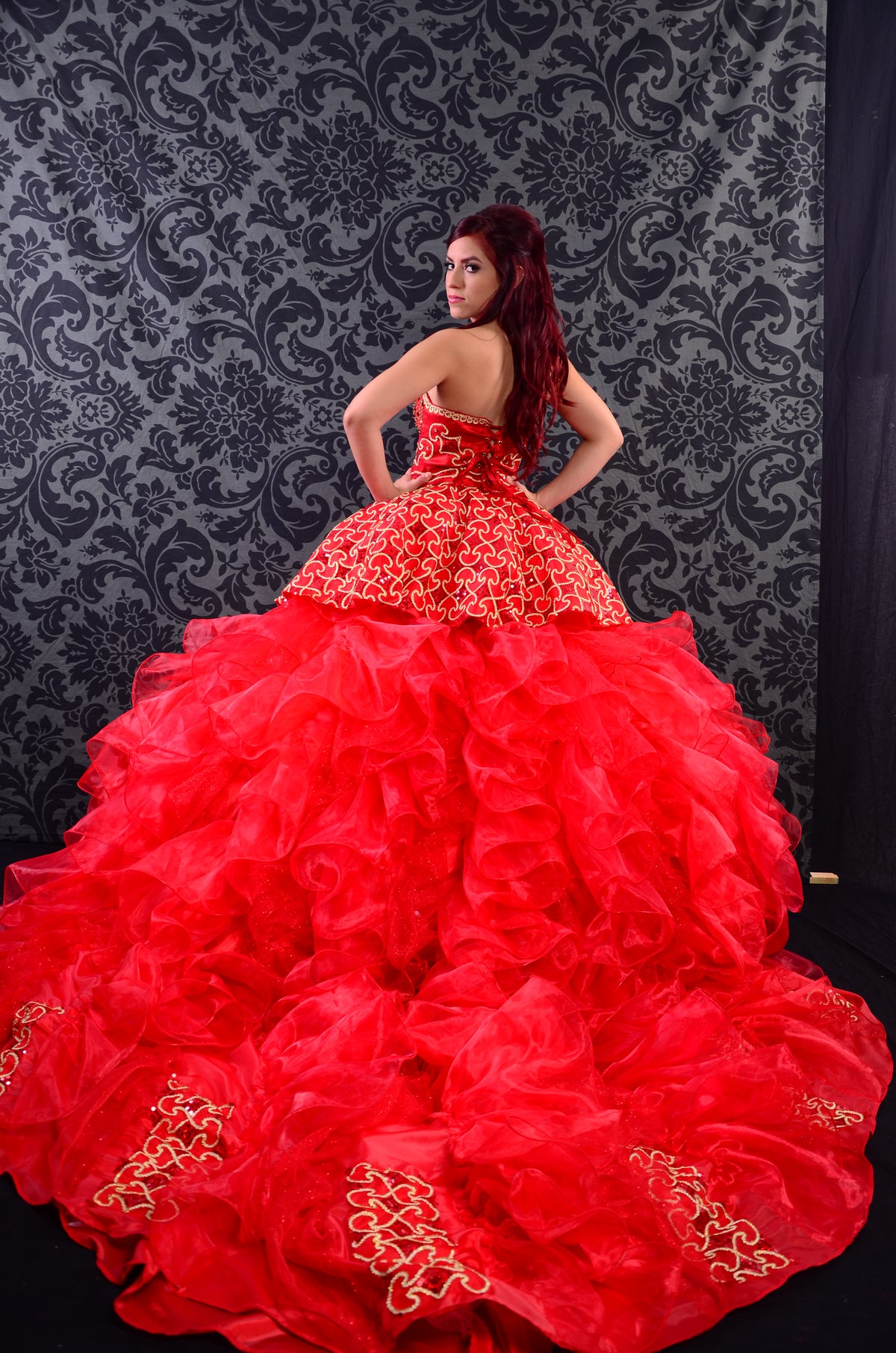 Quinceañera/Wedding Gown