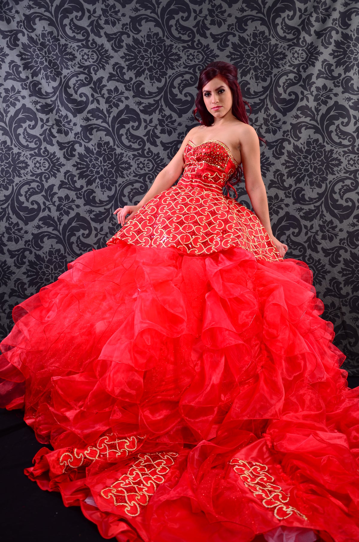 Quinceañera/Wedding Gown