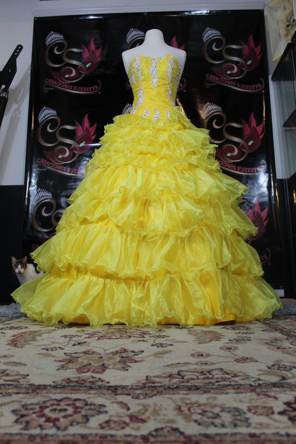 Quinceanera Gown